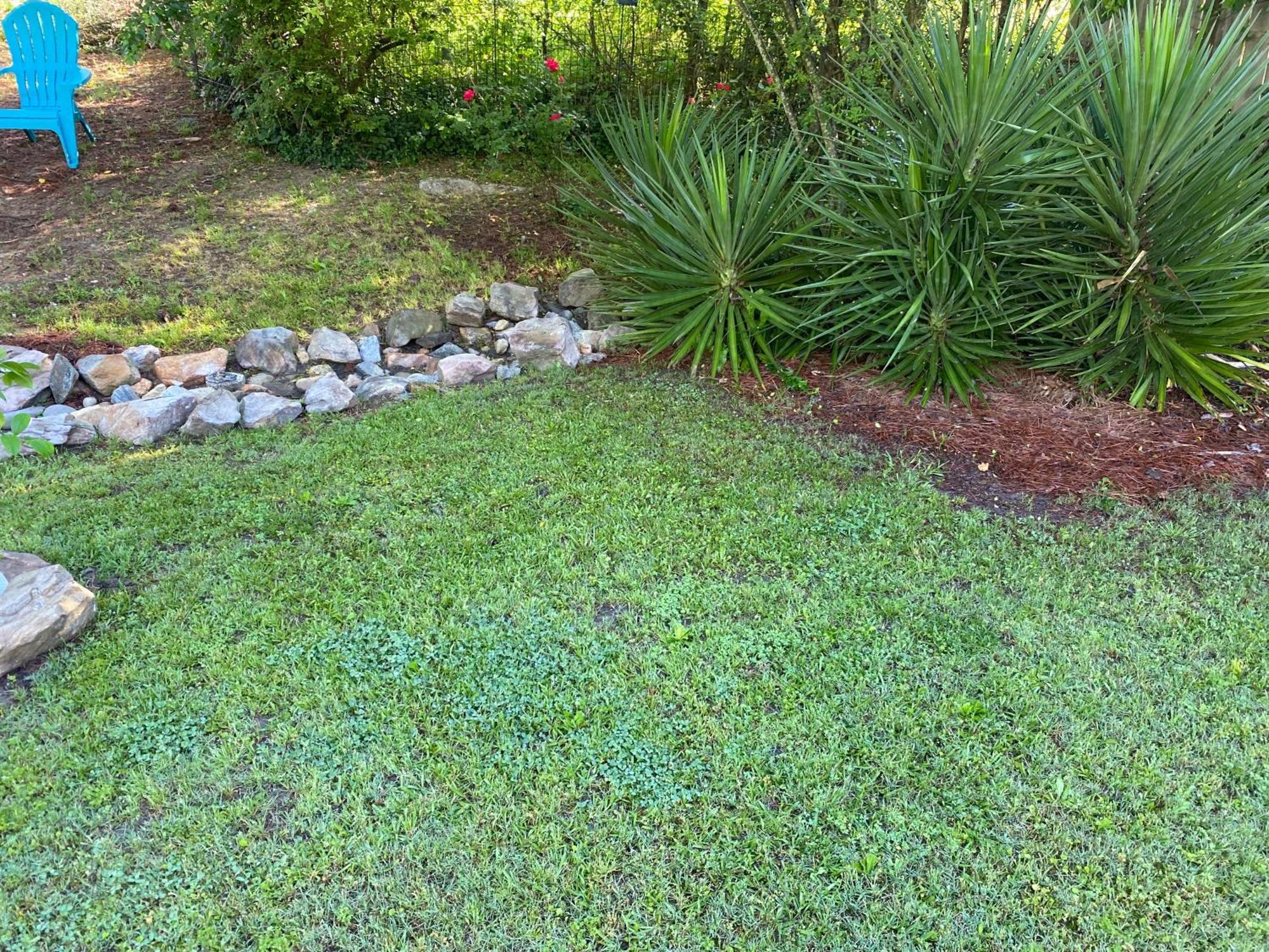 Captivating Home Near Downtown Atl Conley Ngoại thất bức ảnh